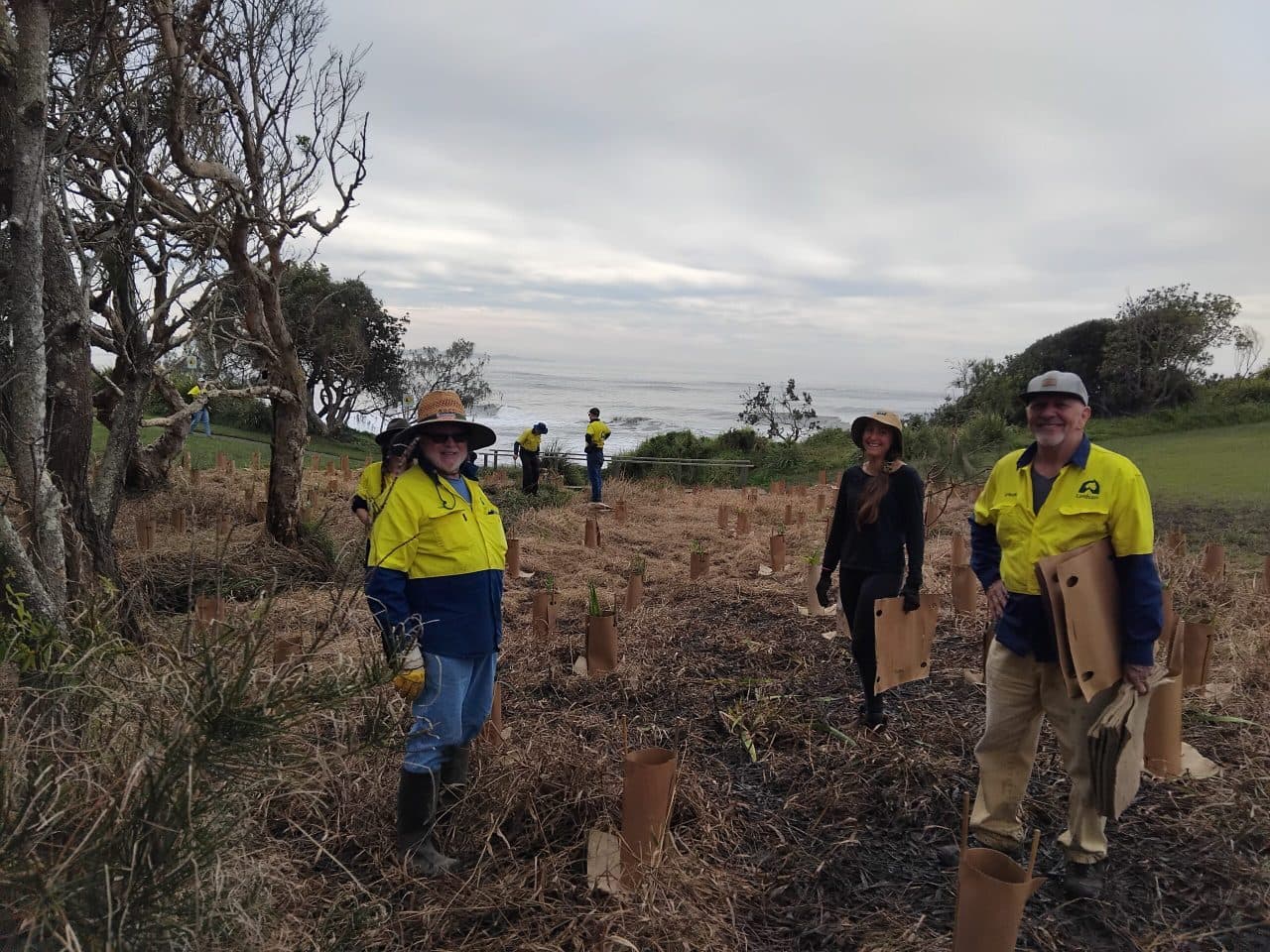 Landcare workers planting tube stock on a coastal reserve